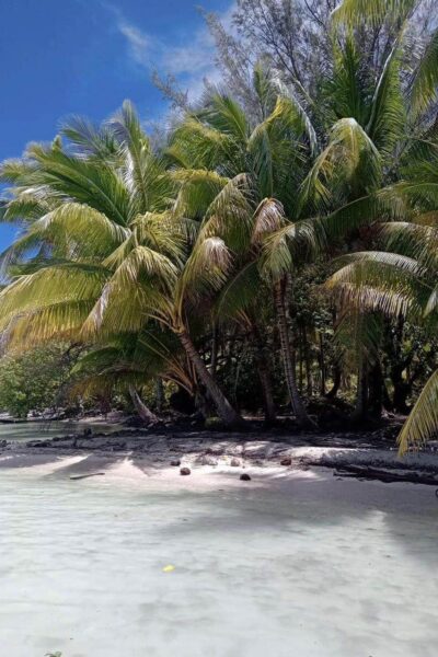 À vendre magnifique parcelle de terrain sur Bora Bora !