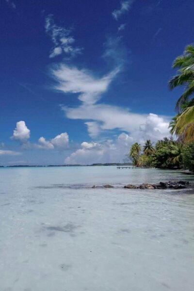 À vendre magnifique parcelle de terrain sur Bora Bora !