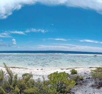 À vendre magnifique parcelle de terrain sur Bora Bora !