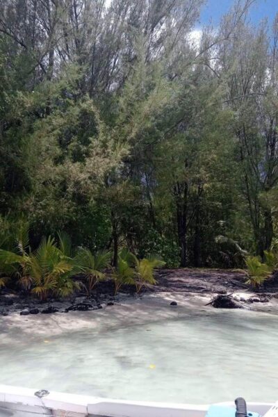 À vendre magnifique parcelle de terrain sur Bora Bora !