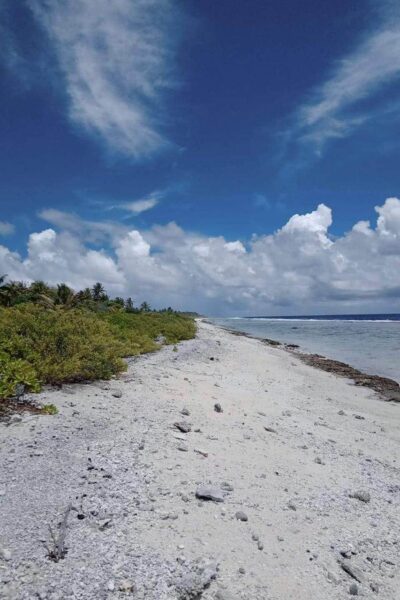 À vendre magnifique parcelle de terrain sur Bora Bora !